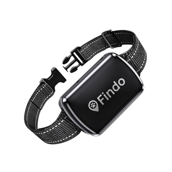 Findo Pro 4G GPS Smart Pet Tracker